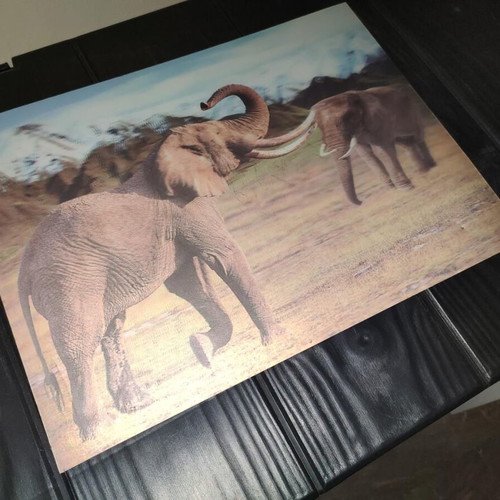 3D Decorative Wall Art with African Elephants Effect 39x29cm like new
