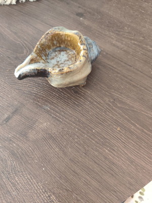 Ceramic ashtray in shell shape used
