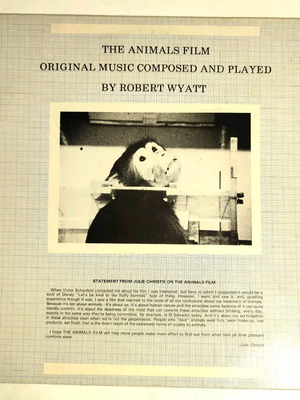 Robert Wyatt The Animals Film vinyl like new, 1982, collectible