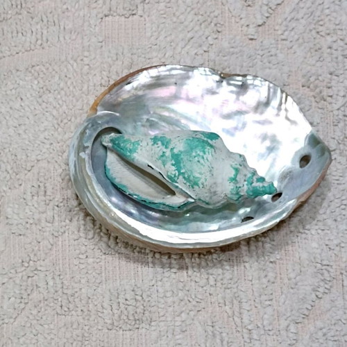 Abalone shell decorative fridge magnet