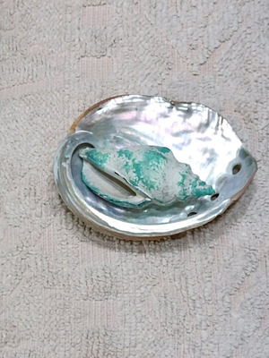 Abalone shell decorative fridge magnet