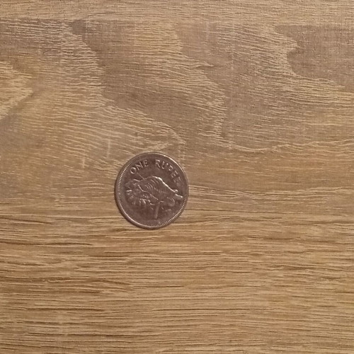 One Rupee coin Republic of Seychelles 2010 used