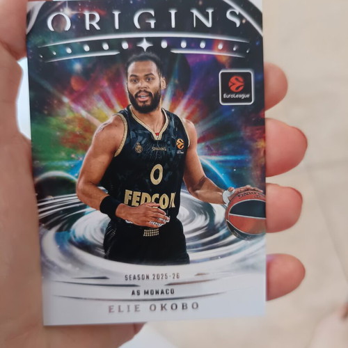 Panini basketball cards