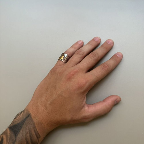 Men's ring with dolphin silver and gold detail like new