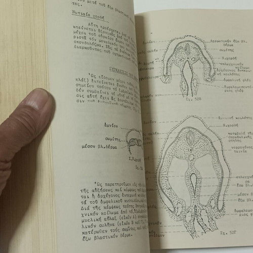 Histology and Embryology Notes and Exercises used, 1962 edition