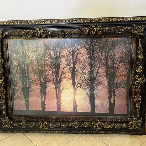 Vintage wall print with tree illustration 78x107 used