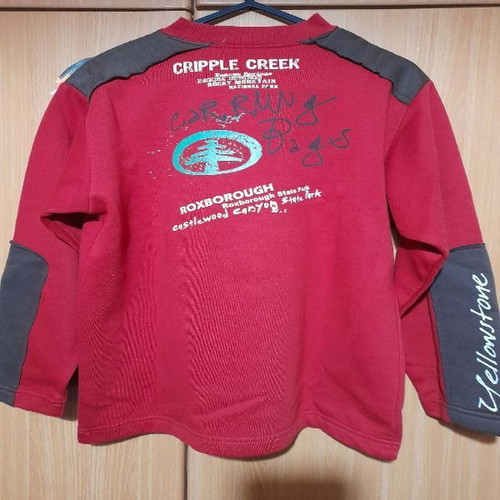Defence by Mandarino sweatshirt for 10-year-old boy like new, red with brown details