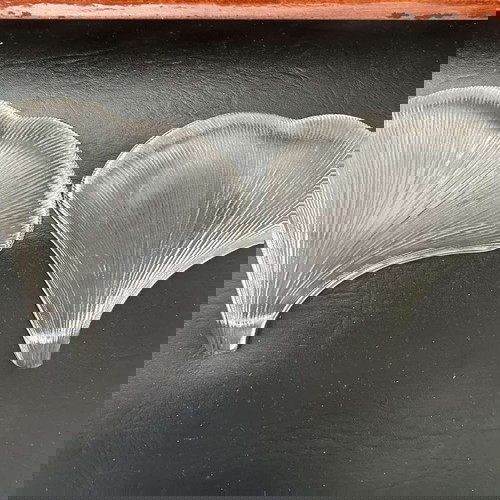 Μπωλ σε σχήμα κοχυλιού σαν καινούργια, σετ 2 τεμαχίων