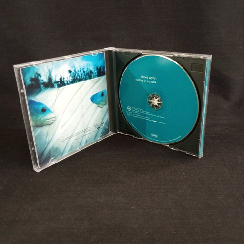 Steve Wynn Melting in the dark CD like new