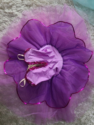 Ballet costume like new, women's size small, pink and purple