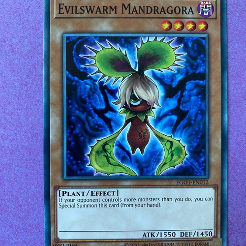 Evilswarm Mandragora Yu-Gi-Oh! Card 1st Edition Near Mint