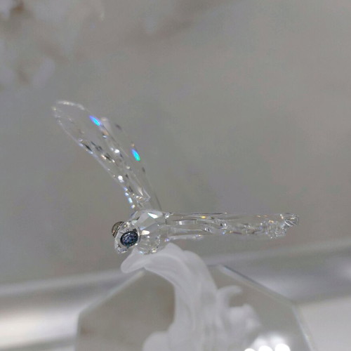 Swarovski dragonfly like new