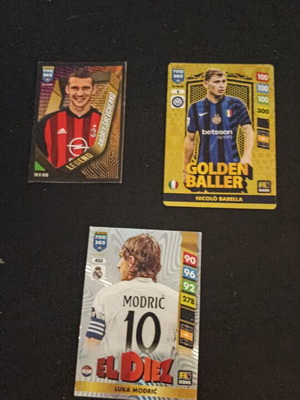 Panini football cards