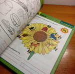 Language and Arithmetic Activities used
