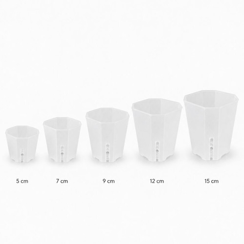 Hard Transparent Plant Pot L 12cm new