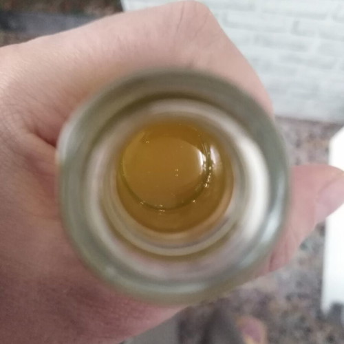 Handmade Arnica Oil 25 ml new, sunflower oil base