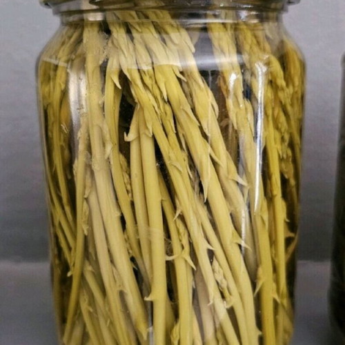 Jars of kritamo and wild asparagus new, harvest 2025