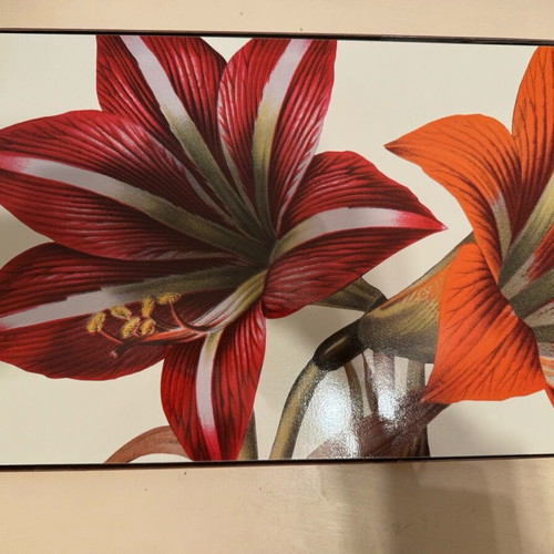Jason placemats vintage, pack of 12, New York Botanical Garden, like new