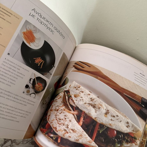 Ethnic Fusion Cookbook by Nicoletta Negri used, Greek language