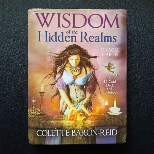 Wisdom of the Hidden Realms Oracle Cards deck like new