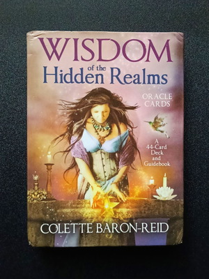 Wisdom of the Hidden Realms Oracle Cards deck like new