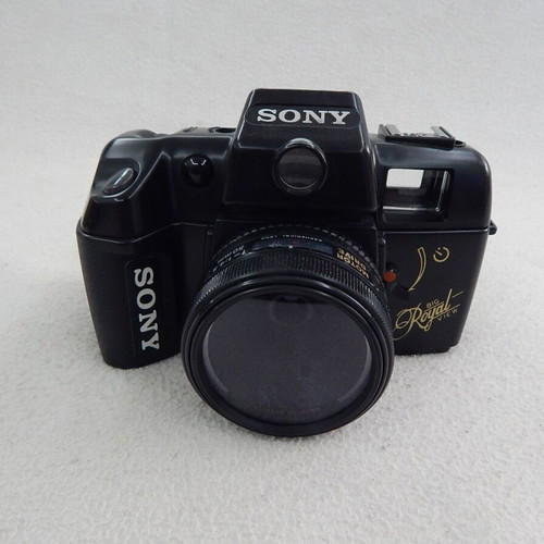 Sony Big Royal View camera