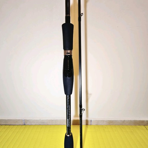 Eging rod Graphiteleader Nuovo Calamaretti 832 MH like new
