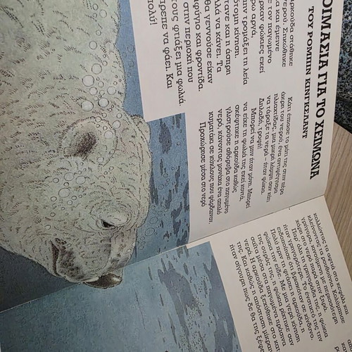 Children's Book The Polar Bear like new, educational