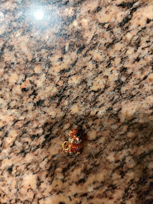 Pandora charm