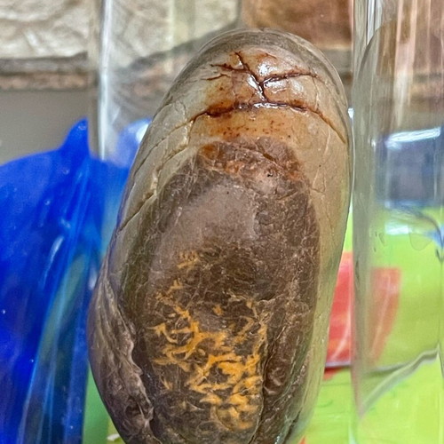Natural Jasper New with Red Veins