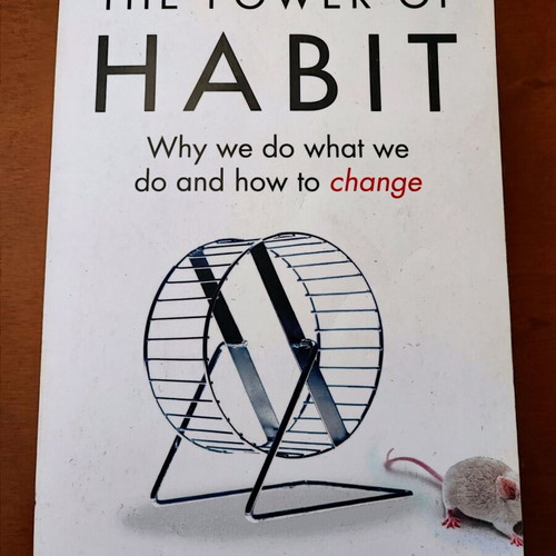 The Power of Habit by Charles Duhigg like new, English