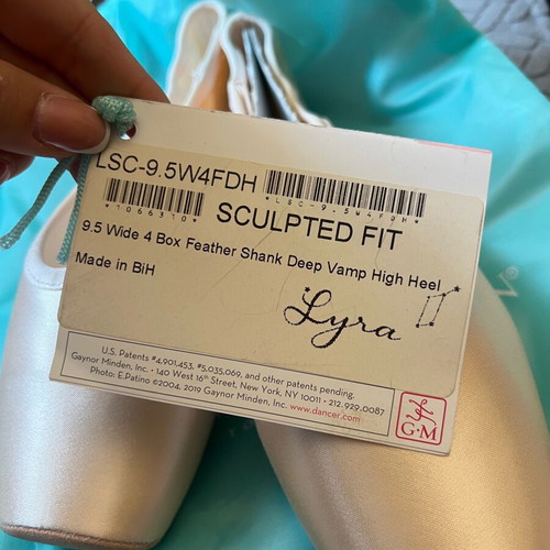 Gaynor Minden Pointe Shoes 9.5 Wide new with 4 boxes and feather shank SC-9.5W4FDH