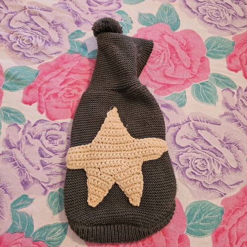 Pet Circle knitted dog sweater with hood and star like new
