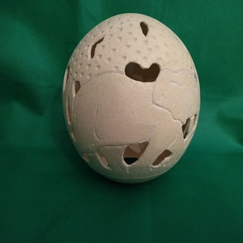 Ostrich eggs new, decorative