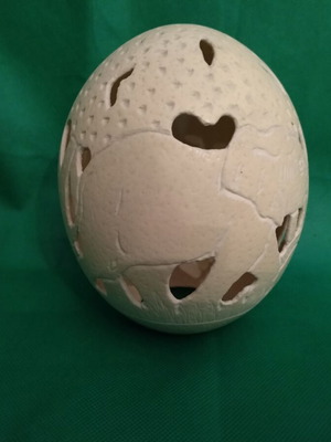 Ostrich eggs new, decorative