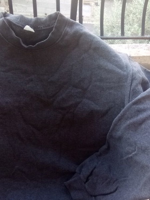 Men's sweatshirt, size large