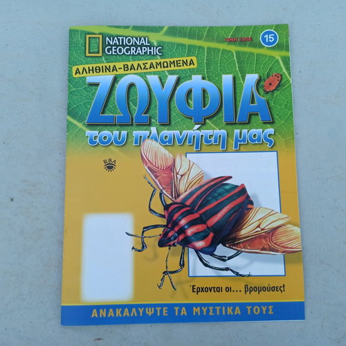 National Geographic Stink Bug collectible like new with book and label