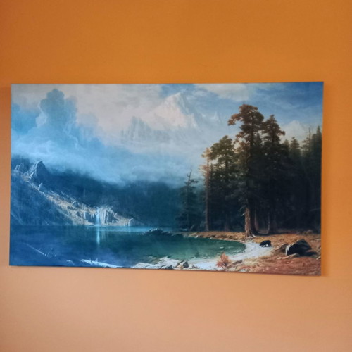 Bizzart paintings used, pack of 45 pieces
