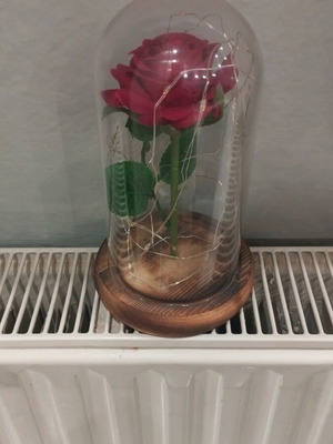 Decorative rose like new