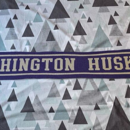 Washington Huskies Nike licensed scarf like new