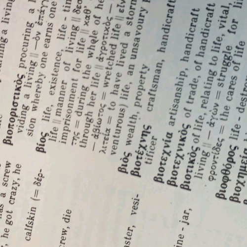 Ariston Greek-English dictionaries used, set of 2