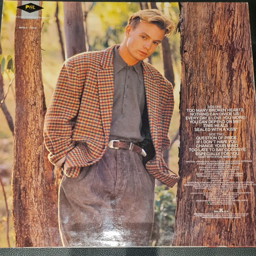 Vinyl records used, pack of 8 foreign 80s music albums