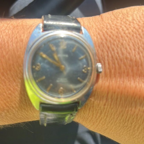 Anima collectible mechanical wristwatch with wear