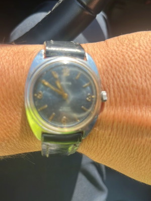 Anima collectible mechanical wristwatch with wear