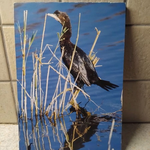 Notebook new 16x24cm