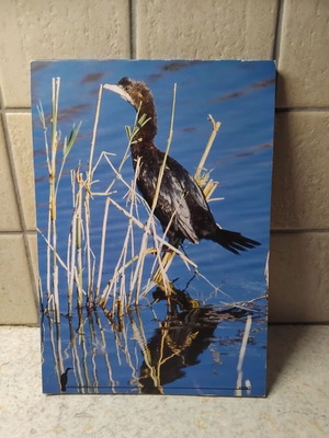 Notebook new 16x24cm