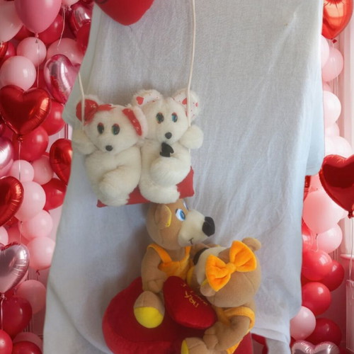 Romantic teddy bear set like new