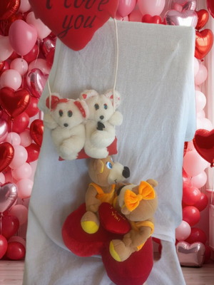Romantic teddy bear set like new