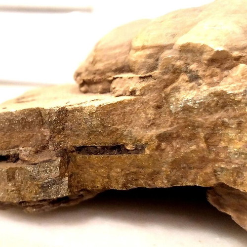 Silicified Hemispherical Stromatolite from Brazil, Precambrian