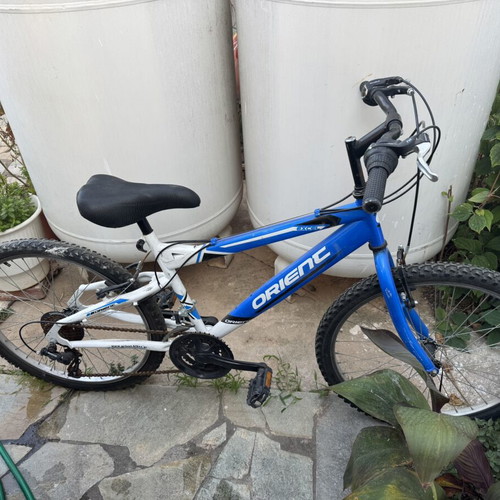 Orienc Bikes bicycle, men's, with gears